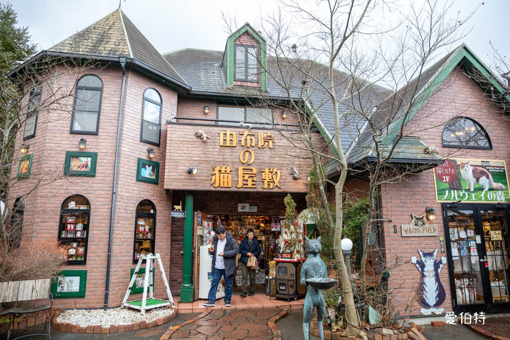 2026九州由布院懶人包｜湯布院花卉村、金鱗湖，美食溫泉民宿超市 @愛伯特