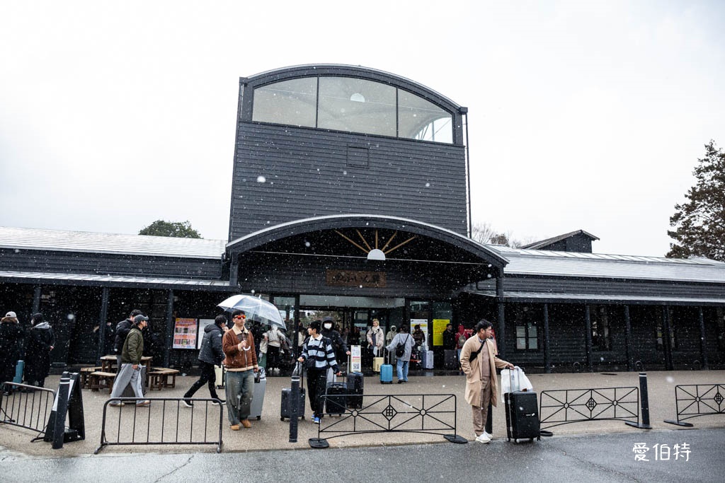 2026九州由布院懶人包｜湯布院花卉村、金鱗湖，美食溫泉民宿超市 @愛伯特