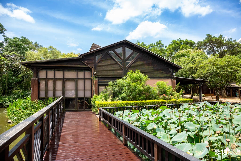 桃園八德埤塘自然生態公園｜免費親子景點，餵魚賞鴨散步賞荷 @愛伯特