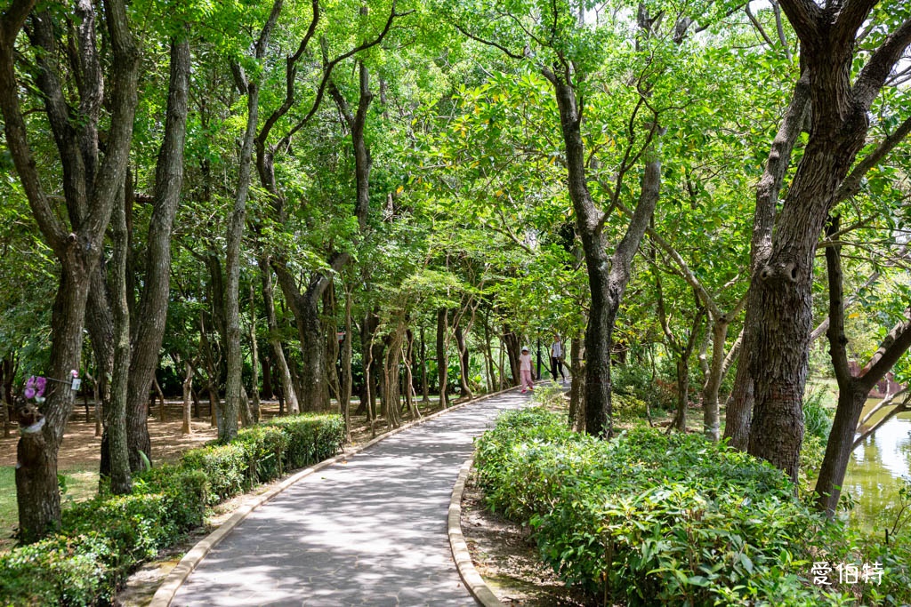 桃園八德埤塘自然生態公園｜免費親子景點，餵魚賞鴨散步賞荷 @愛伯特
