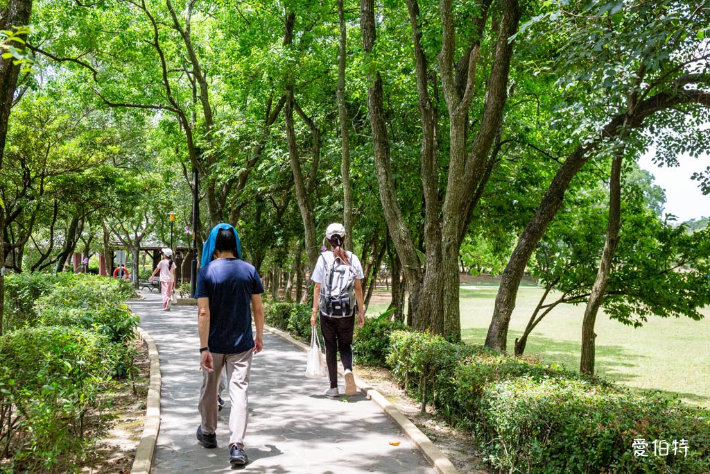 桃園八德埤塘自然生態公園|免費親子景點,餵魚賞鴨散步賞荷 @愛伯特