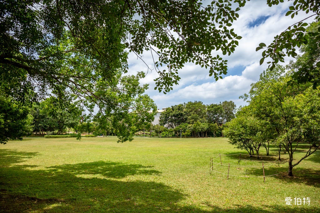 桃園八德埤塘自然生態公園|免費親子景點,餵魚賞鴨散步賞荷 @愛伯特