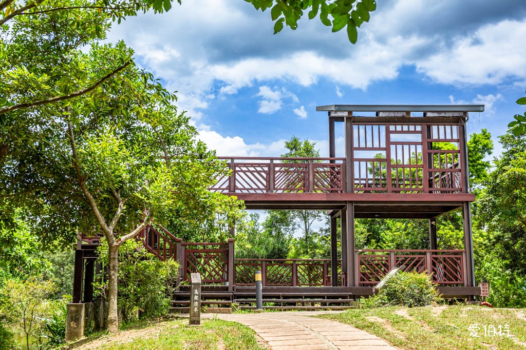 桃園八德埤塘自然生態公園｜免費親子景點，餵魚賞鴨散步賞荷 @愛伯特