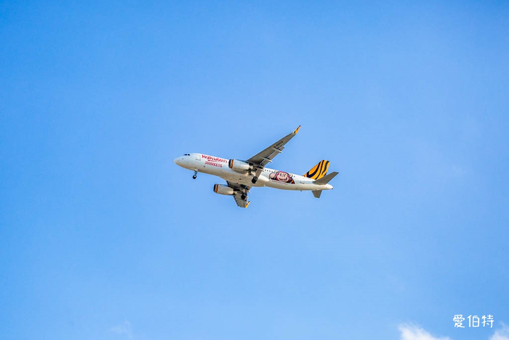 華興池生態埤塘公園|桃園大園親子散步看夕陽與飛機的免費景點 @愛伯特
