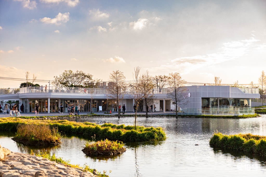 華興池生態埤塘公園｜桃園大園親子散步看夕陽與飛機的免費景點 @愛伯特