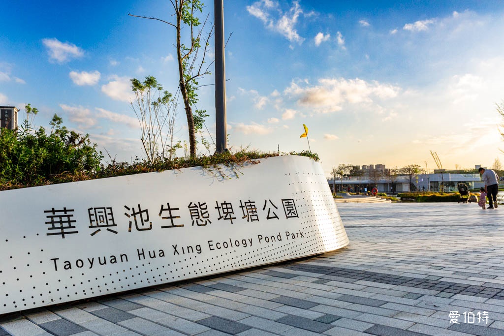 華興池生態埤塘公園|桃園大園親子散步看夕陽與飛機的免費景點 @愛伯特