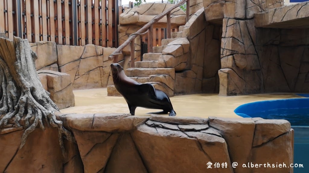 Xpark桃園水族館｜青埔景點推薦，桃園海生館優惠票價