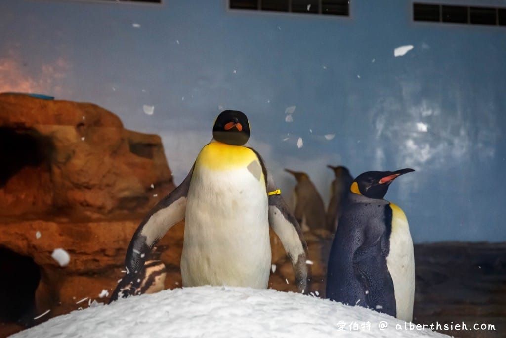 Xpark桃園水族館｜青埔景點推薦，桃園海生館優惠票價