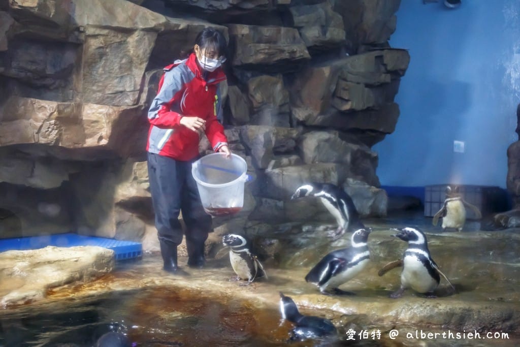 Xpark桃園水族館｜青埔景點推薦，桃園海生館優惠票價