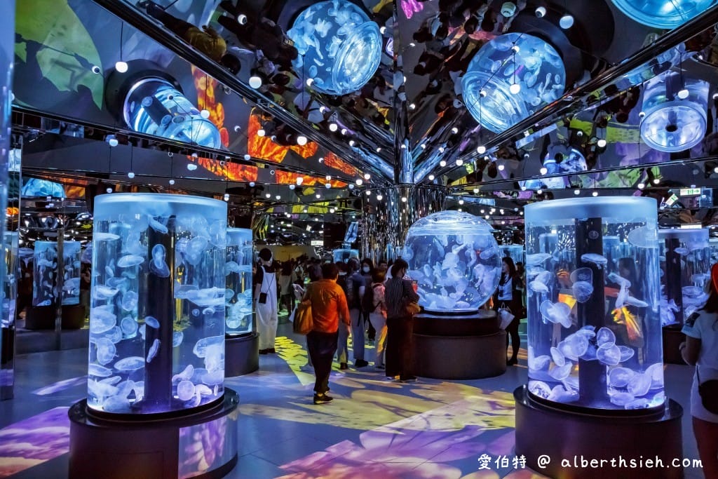 Xpark桃園水族館｜青埔景點推薦，桃園海生館優惠票價