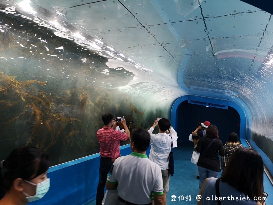 Xpark桃園水族館｜青埔景點推薦，桃園海生館優惠票價