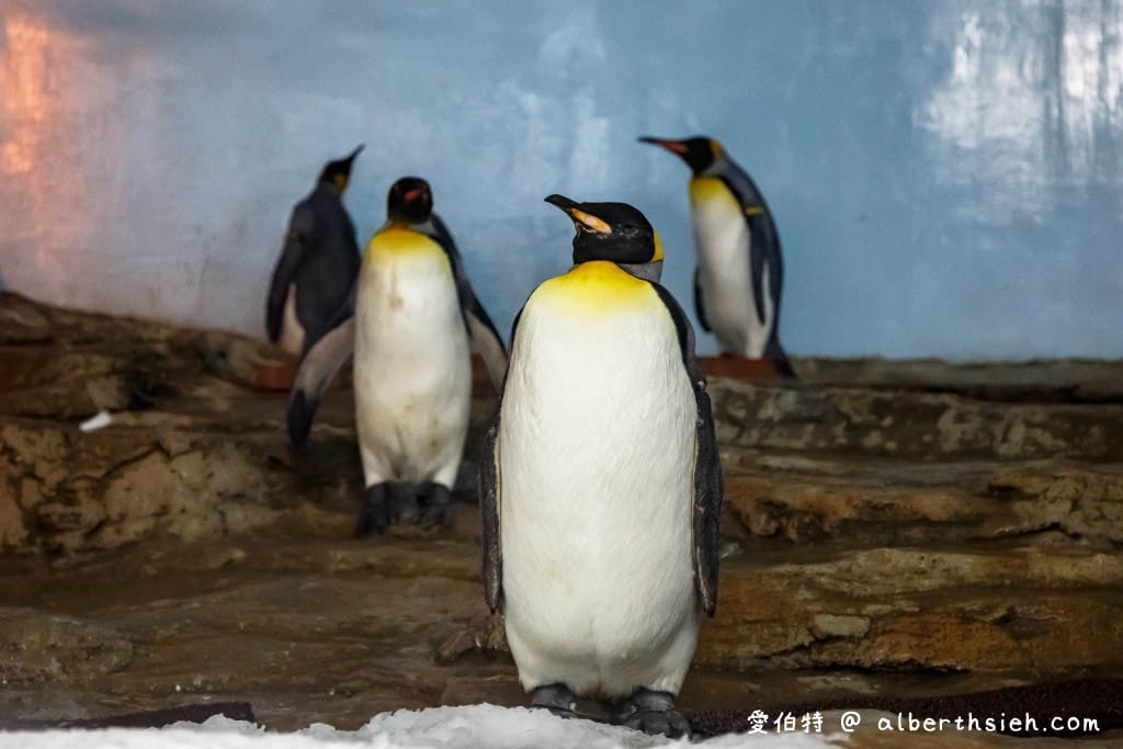 Xpark桃園水族館｜青埔景點推薦，桃園海生館優惠票價