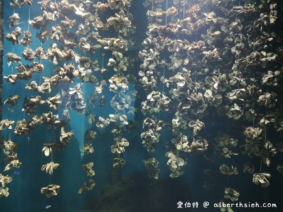 Xpark桃園水族館｜青埔景點推薦，桃園海生館優惠票價