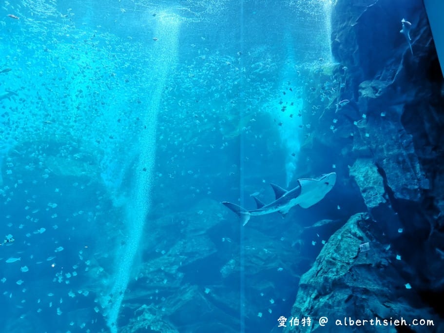 Xpark桃園水族館｜青埔景點推薦，桃園海生館優惠票價