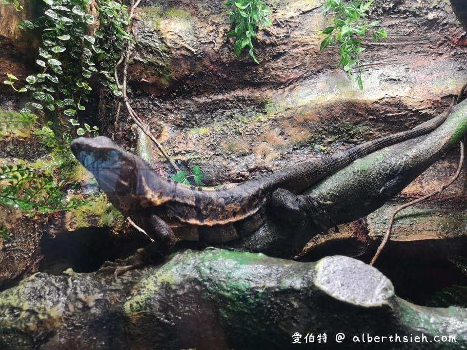 Xpark桃園水族館｜青埔景點推薦，桃園海生館優惠票價