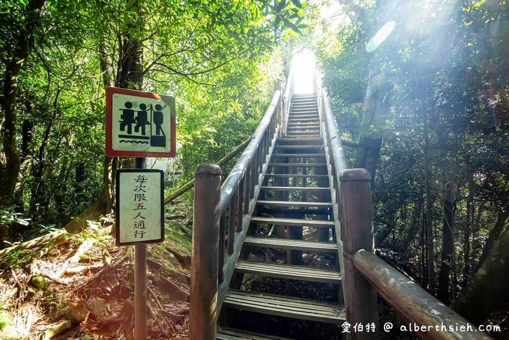 桃園復興東眼山攻略｜台灣小百岳、自導式步道挑戰與門票優惠