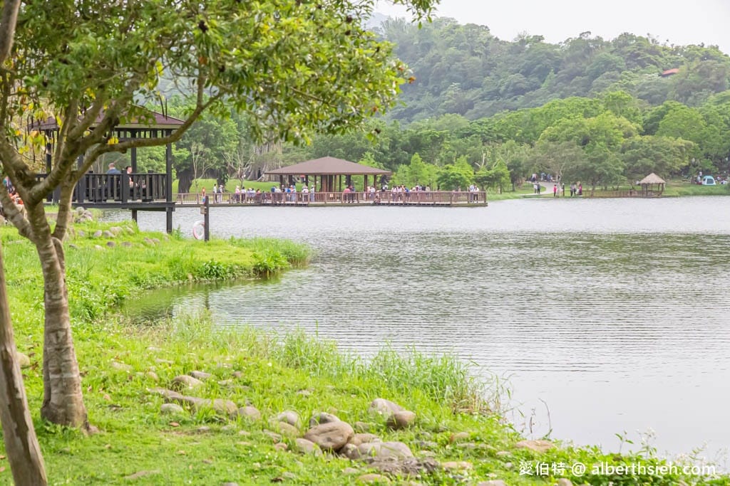 龍潭三坑自然生態公園｜桃園親子景點推薦，大草坪、免費戲水河道