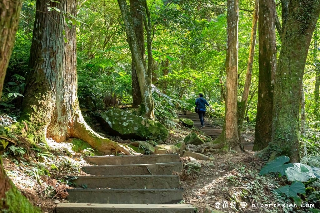 桃園復興東眼山攻略｜台灣小百岳、自導式步道挑戰與門票優惠