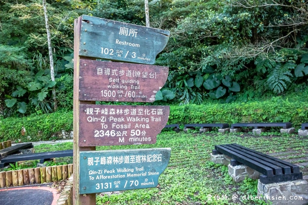 桃園復興東眼山攻略｜台灣小百岳、自導式步道挑戰與門票優惠
