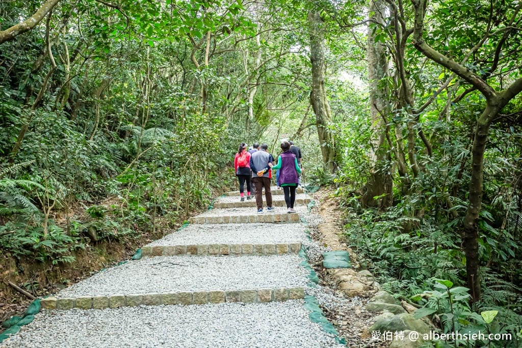 桃園龍潭石門山步道攻略｜新手挑戰小百岳、7公里環狀路線心得