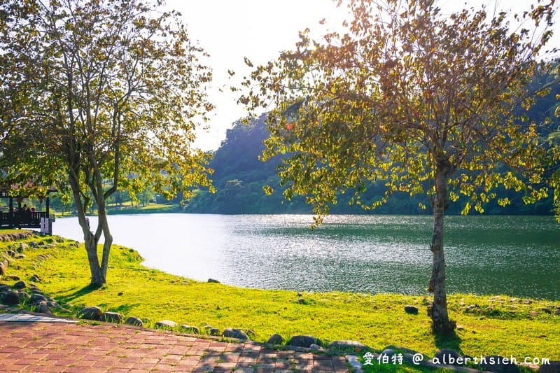 龍潭三坑自然生態公園｜桃園親子景點推薦，大草坪、免費戲水河道