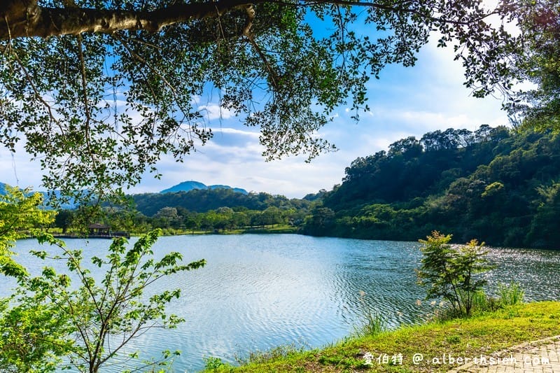 龍潭三坑自然生態公園｜桃園親子景點推薦，大草坪、免費戲水河道