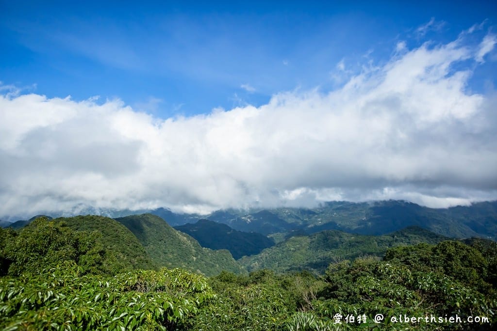 桃園復興東眼山攻略｜台灣小百岳、自導式步道挑戰與門票優惠