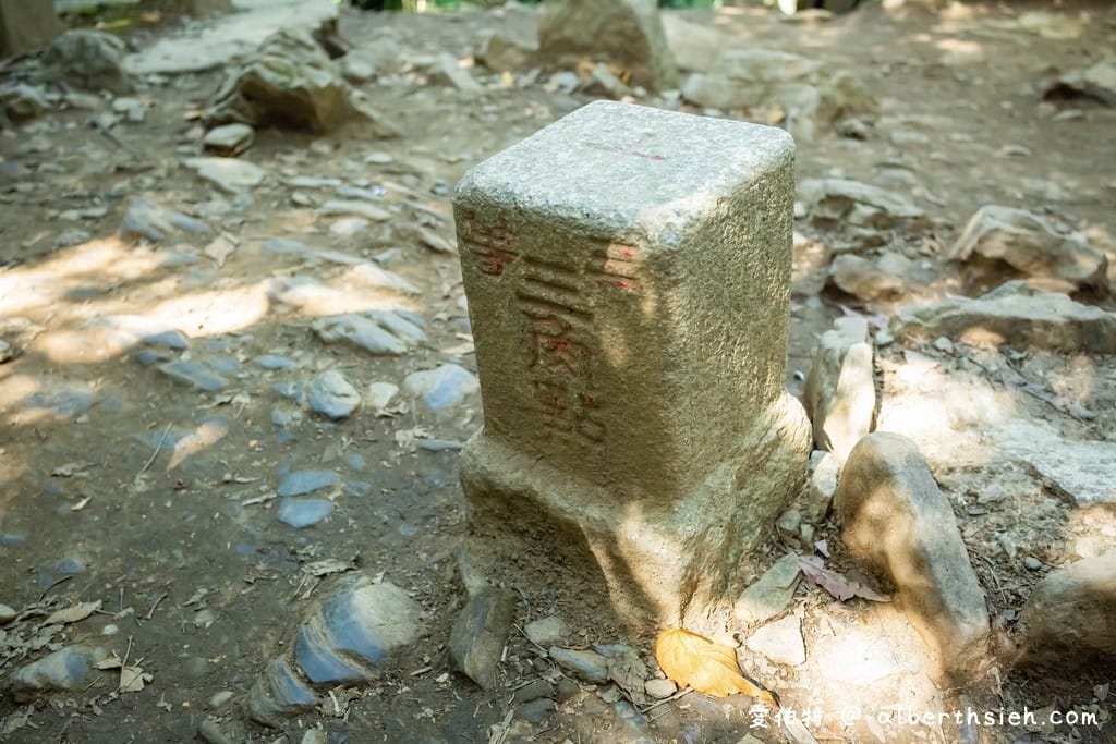 桃園復興東眼山攻略｜台灣小百岳、自導式步道挑戰與門票優惠