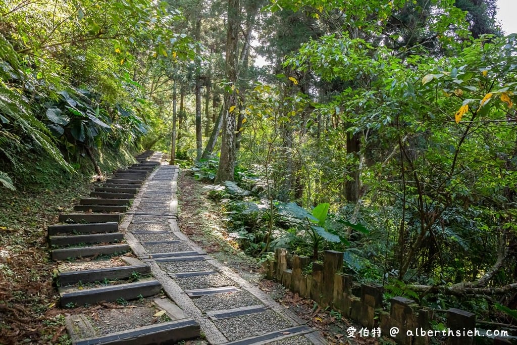 桃園復興東眼山攻略｜台灣小百岳、自導式步道挑戰與門票優惠