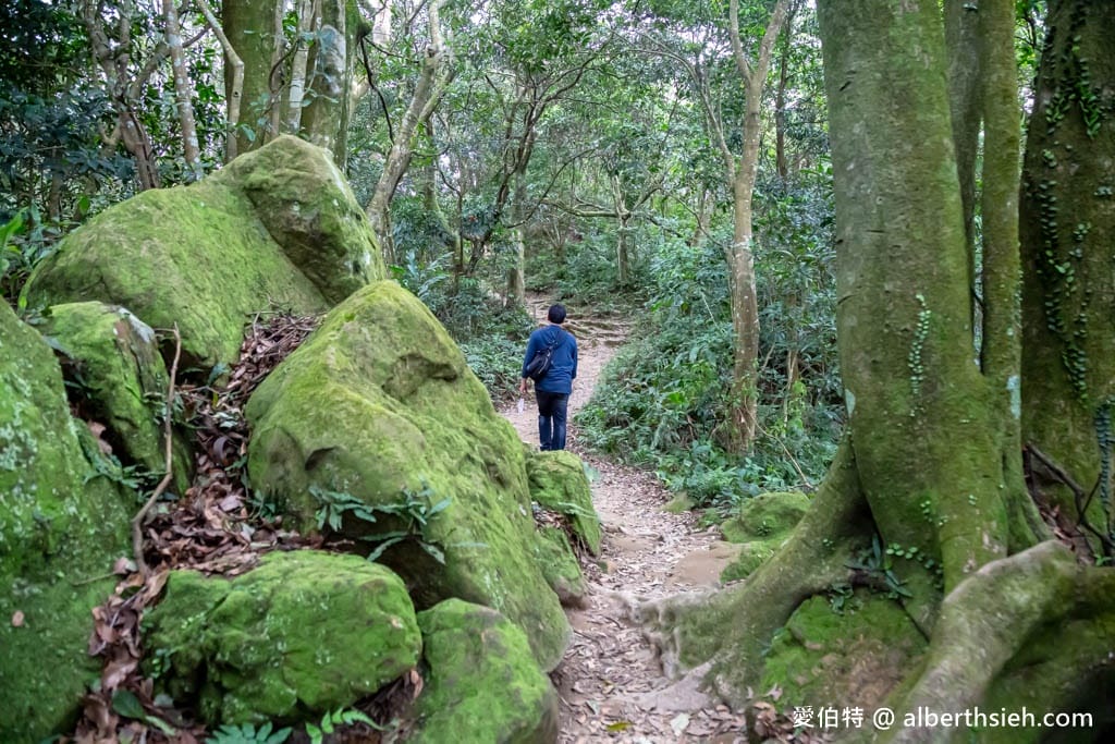 桃園龍潭石門山步道攻略｜新手挑戰小百岳、7公里環狀路線心得