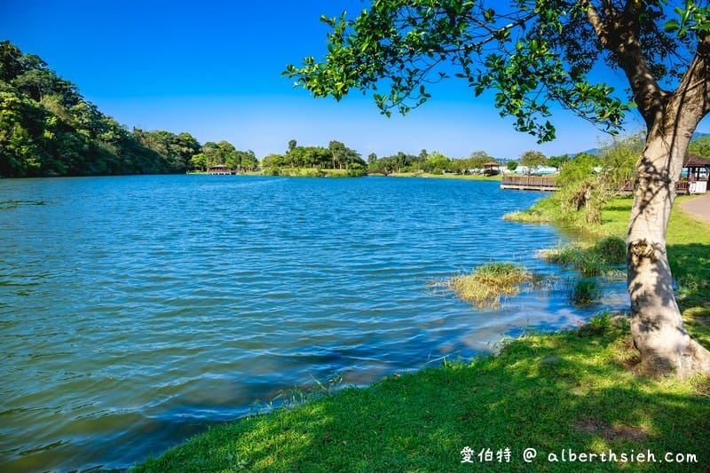 龍潭三坑自然生態公園｜桃園親子景點推薦，大草坪、免費戲水河道