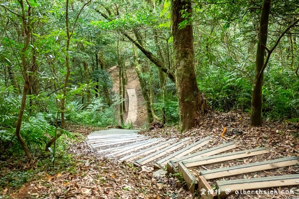 桃園復興東眼山攻略｜台灣小百岳、自導式步道挑戰與門票優惠