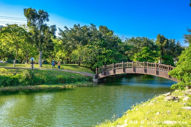 龍潭三坑自然生態公園｜桃園親子景點推薦，大草坪、免費戲水河道