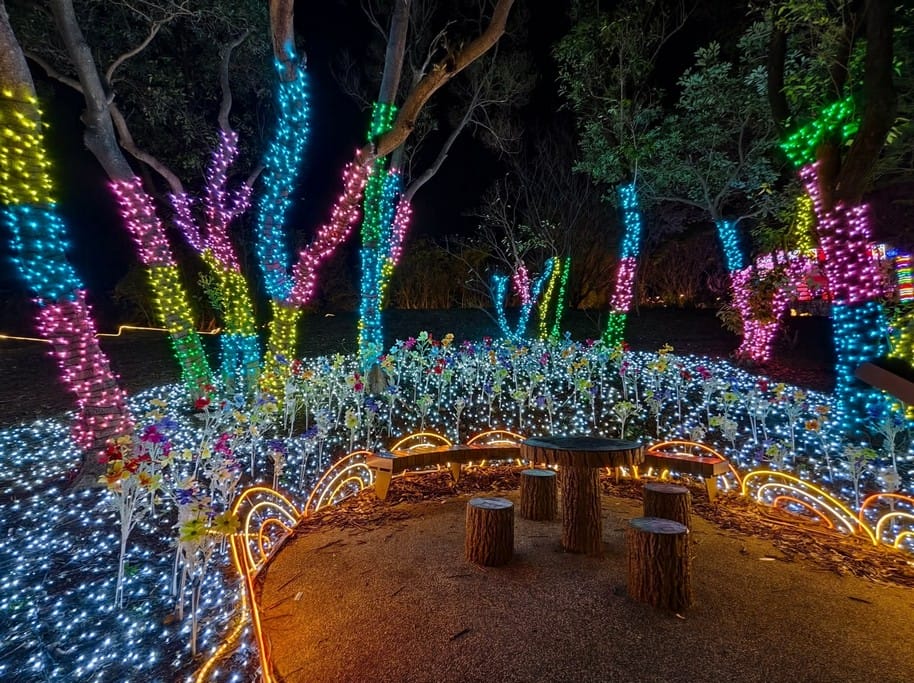 桃園蘆竹景點大古山步道｜5分鐘輕鬆登頂看飛機，海景夜景全攻略
