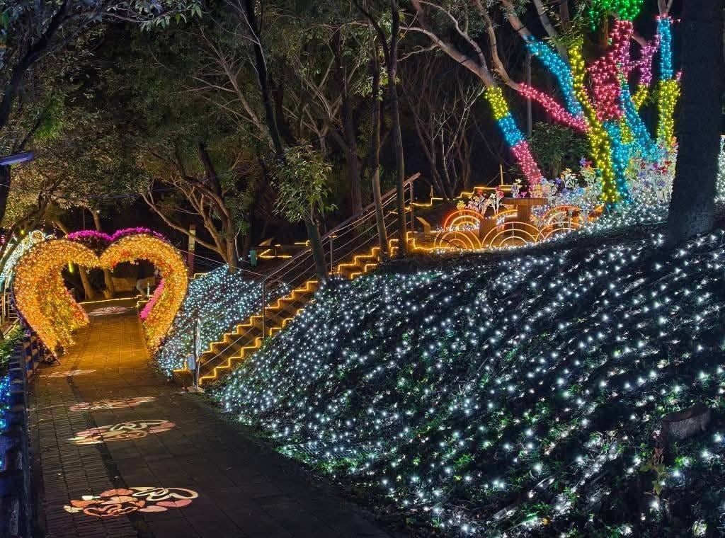 桃園蘆竹景點大古山步道｜5分鐘輕鬆登頂看飛機，海景夜景全攻略