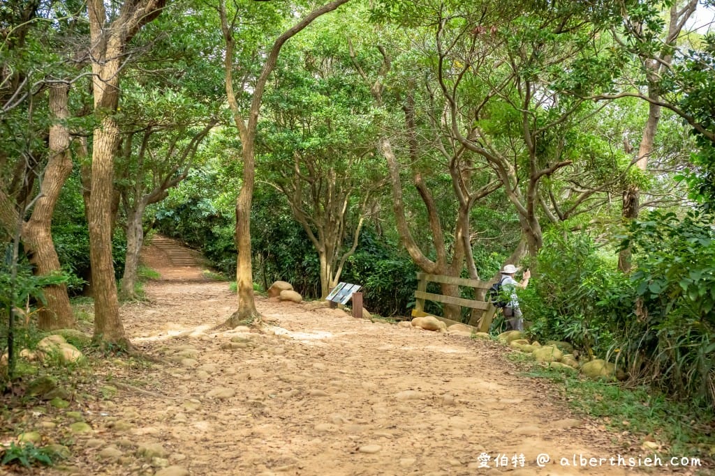 桃園蘆竹羊稠森林步道｜眺望高鐵行駛，甲蟲獨角仙