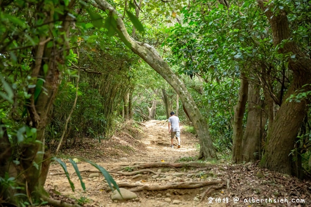 桃園蘆竹羊稠森林步道｜眺望高鐵行駛，甲蟲獨角仙