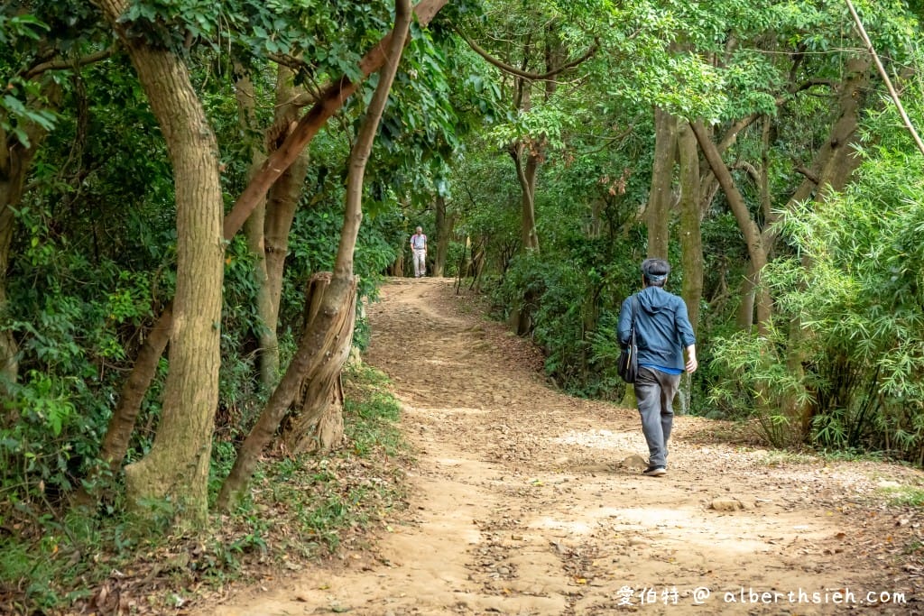 桃園蘆竹羊稠森林步道｜眺望高鐵行駛，甲蟲獨角仙