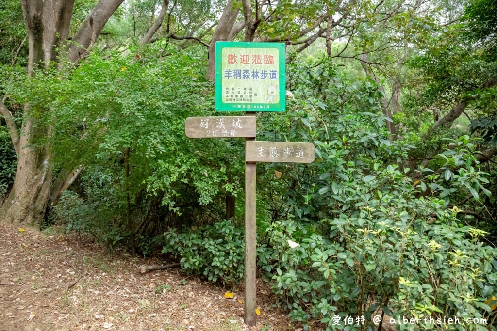 桃園蘆竹羊稠森林步道｜眺望高鐵行駛，甲蟲獨角仙