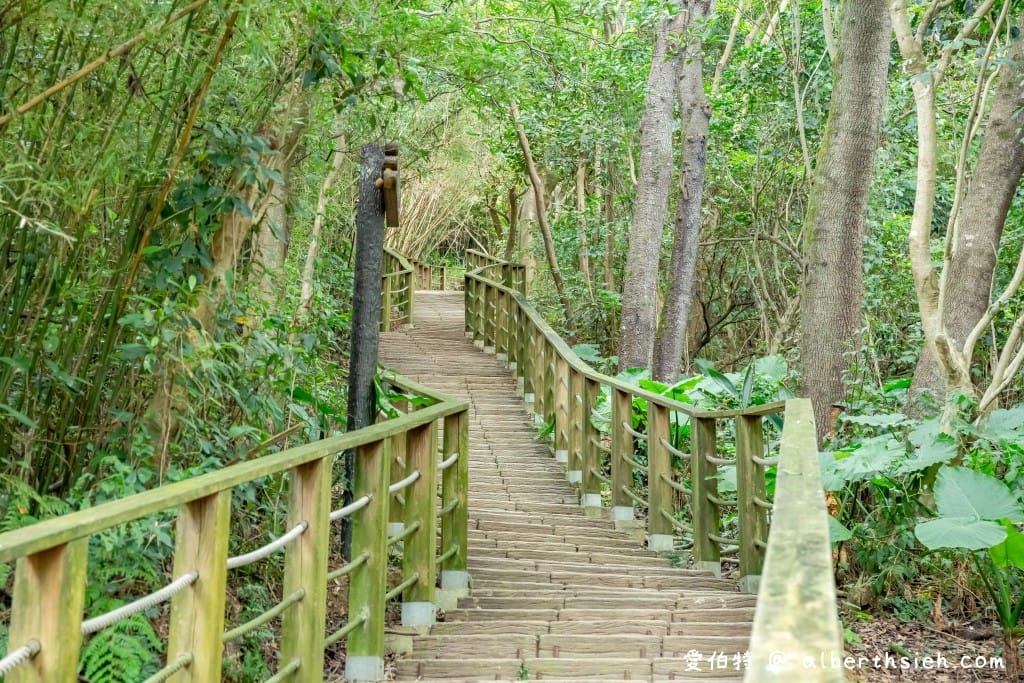 桃園蘆竹羊稠森林步道｜眺望高鐵行駛，甲蟲獨角仙