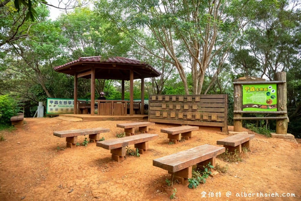 桃園蘆竹羊稠森林步道｜眺望高鐵行駛，甲蟲獨角仙