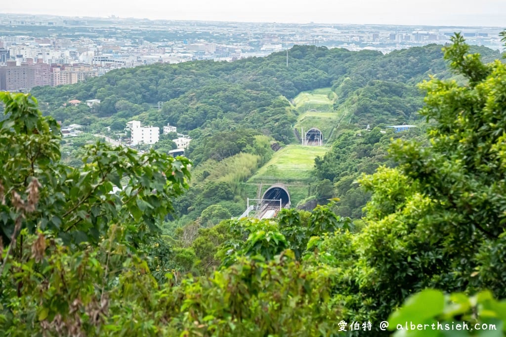 桃園蘆竹羊稠森林步道｜眺望高鐵行駛，甲蟲獨角仙