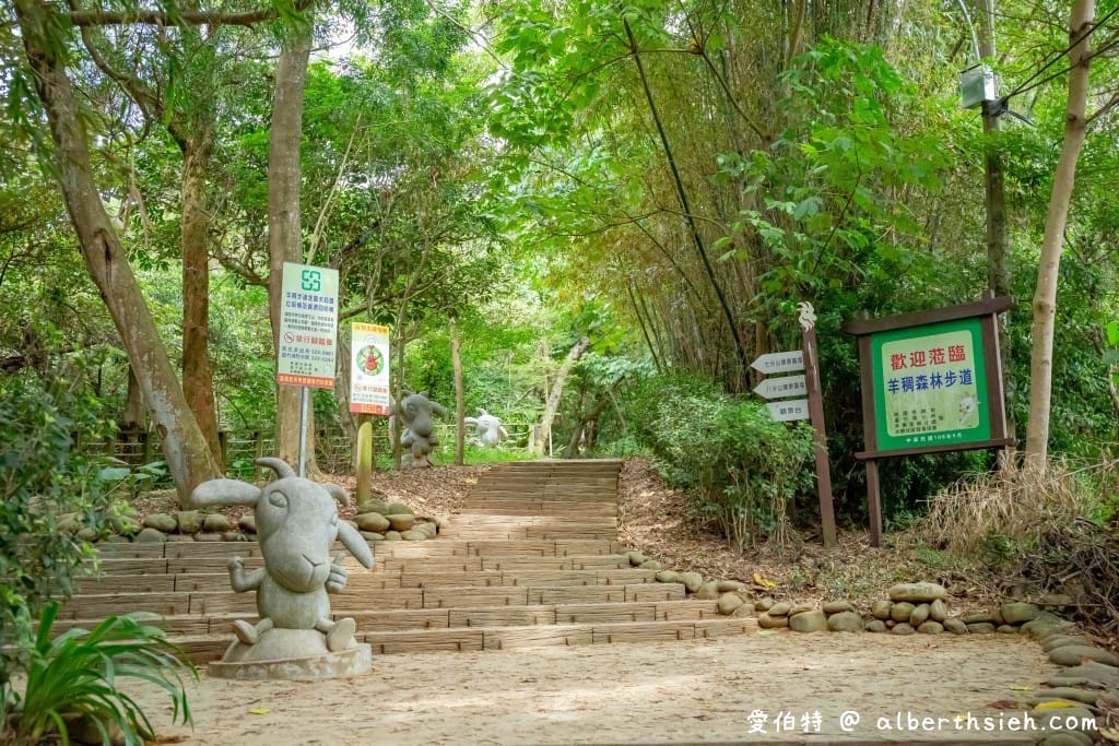 桃園蘆竹羊稠森林步道｜眺望高鐵行駛，甲蟲獨角仙
