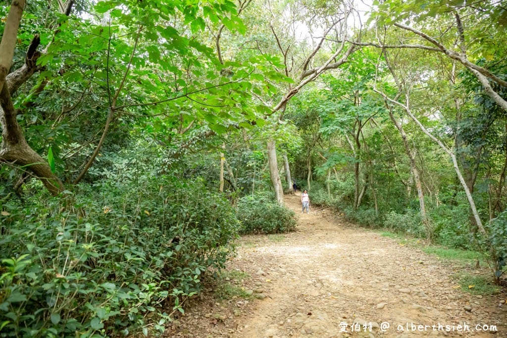 桃園蘆竹羊稠森林步道｜眺望高鐵行駛，甲蟲獨角仙