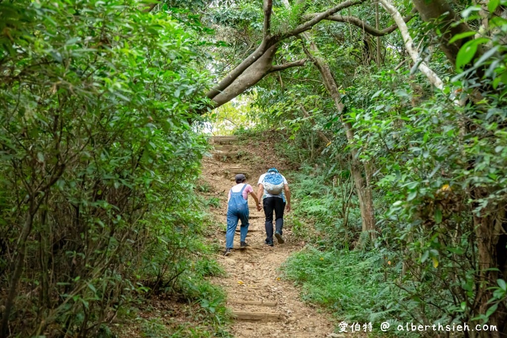 桃園蘆竹羊稠森林步道｜眺望高鐵行駛，甲蟲獨角仙