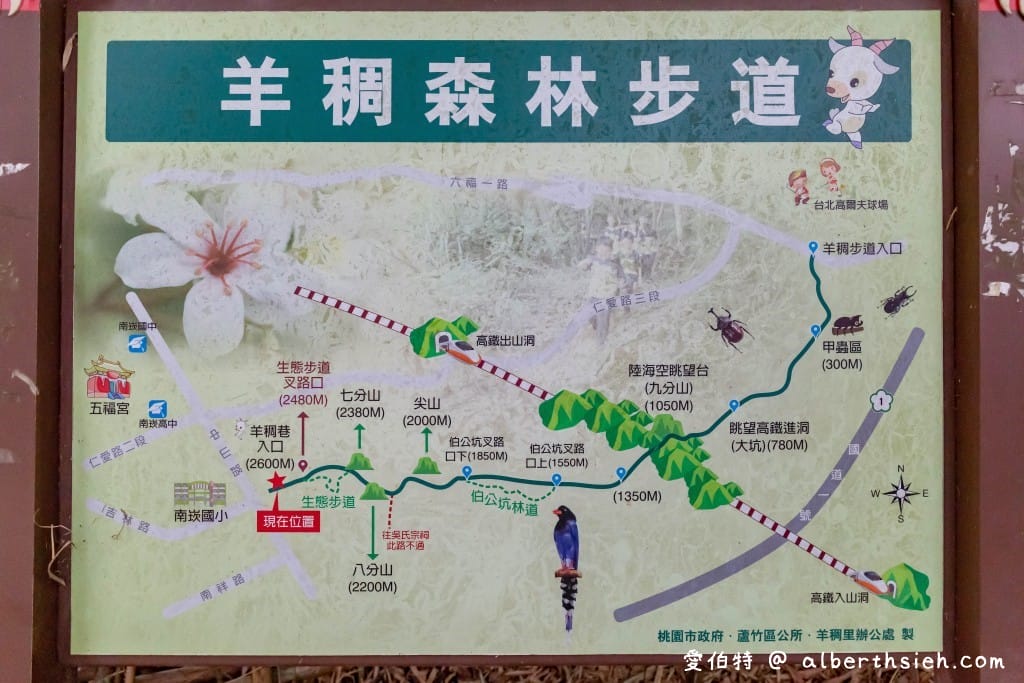 桃園蘆竹羊稠森林步道｜眺望高鐵行駛，甲蟲獨角仙