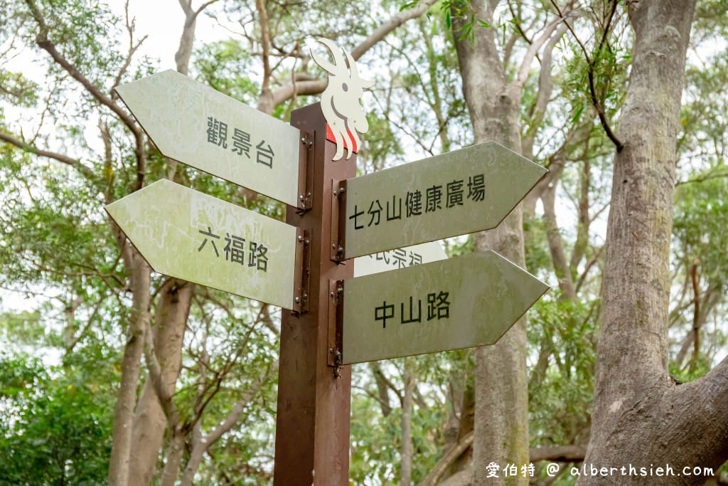 桃園蘆竹羊稠森林步道｜眺望高鐵行駛，甲蟲獨角仙
