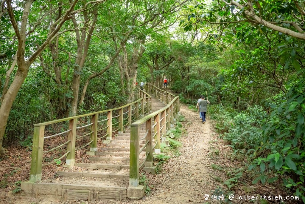 桃園蘆竹羊稠森林步道｜眺望高鐵行駛，甲蟲獨角仙