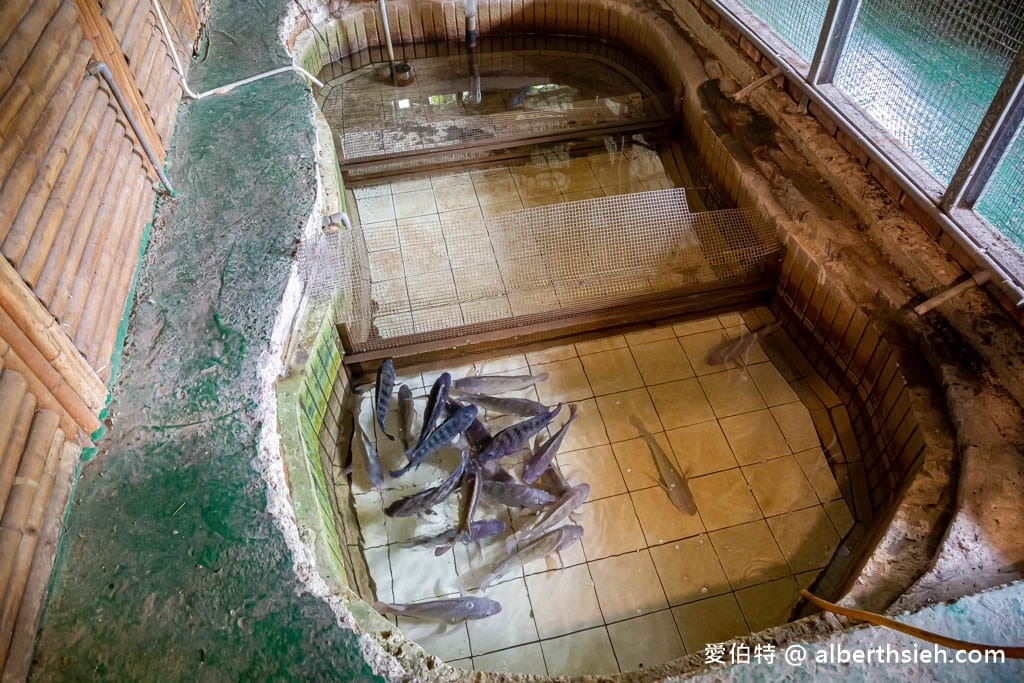 桃園大溪山豬湖土雞城｜20年鄉間小路旁，在地人的私房聚餐餐廳