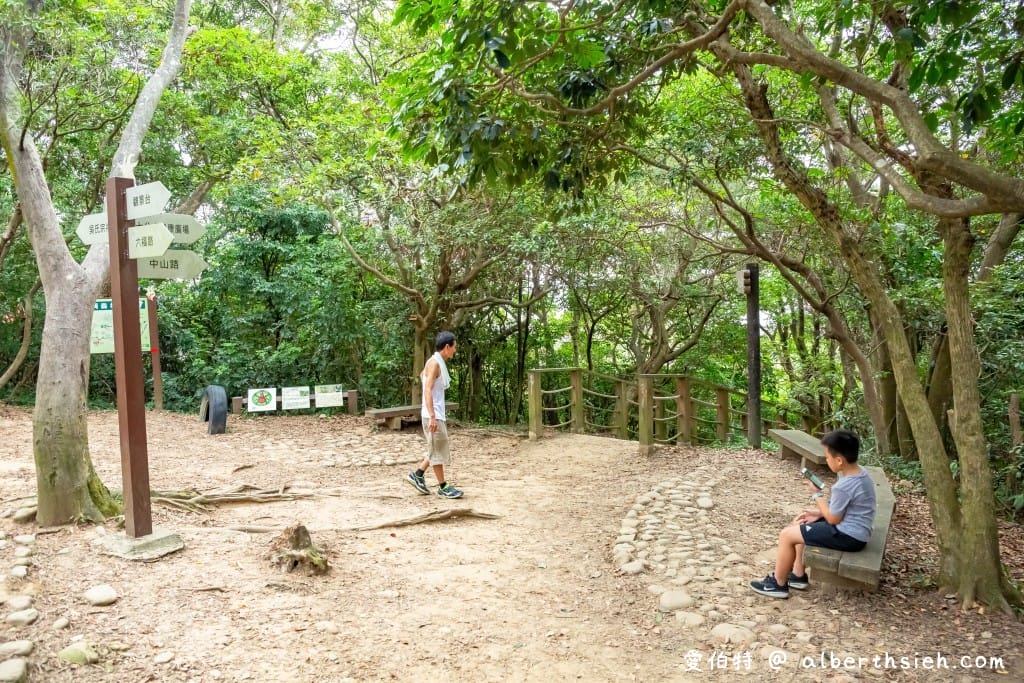 桃園蘆竹羊稠森林步道｜眺望高鐵行駛，甲蟲獨角仙